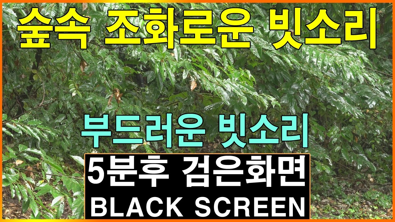 숲속 조화로운 빗소리 | 5분후 검은화면  | 부드러운 빗소리 asmr