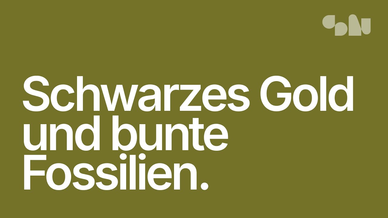 Messel – Fenster zur Urzeit, Schatz der Menschheit