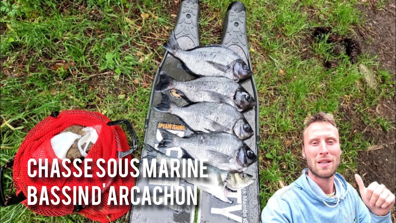 C'est BLINDÉ de Dorades Grises 😱! Chasse sous-marine Bassin d'Arcachon 2024