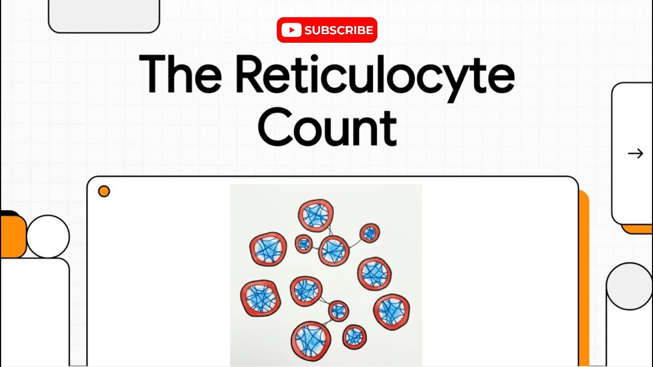 Reticulocyte Count: Manual Method, Miller Disc, ARC, Corrected Retic & RPI