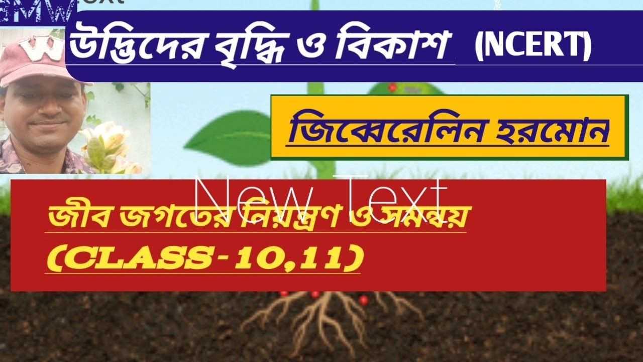 জীব জগতের নিয়ন্ত্রণ ও সমন্বয়, জিব্বেরিলিন হরমোন, উদ্ভিদের বৃদ্ধি ও বিকাশ 3 (NCERT)#SSC#NEET#PW#VVI