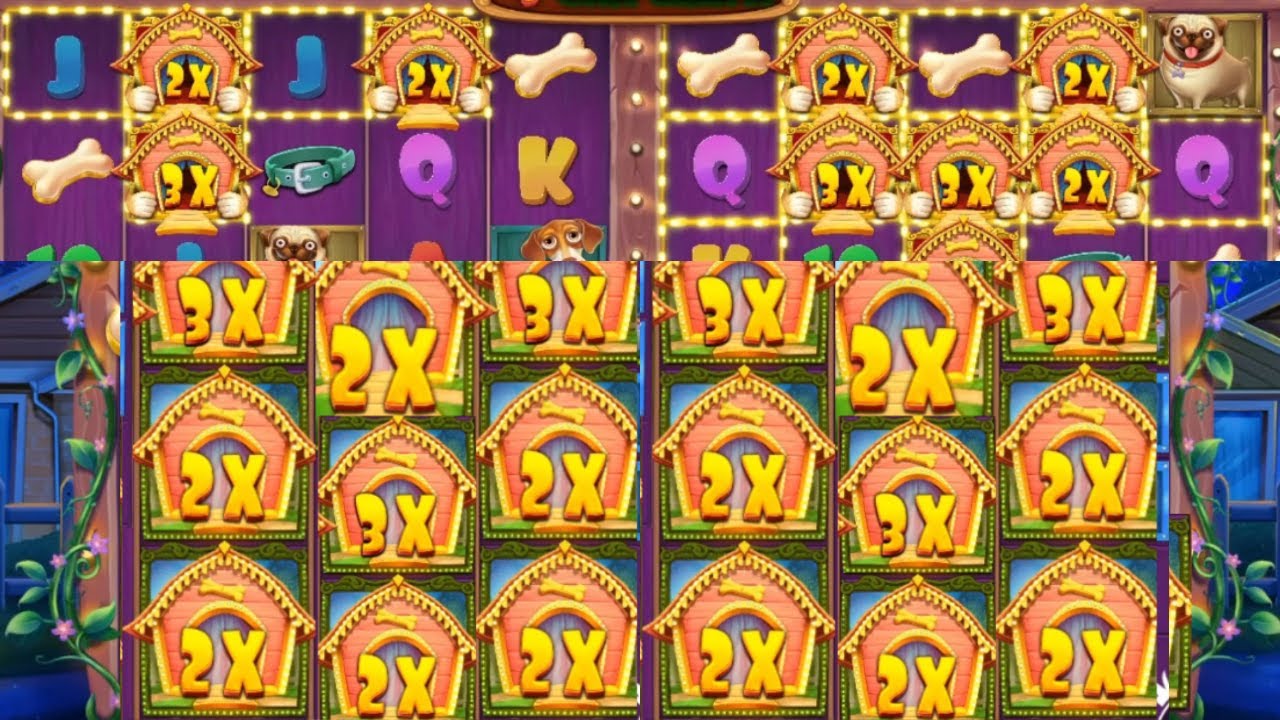 🏠 THE DOG HOUSE MULTIHOLD - Unleashing Big Wins in Slots! 💰@Slotomaniaslots