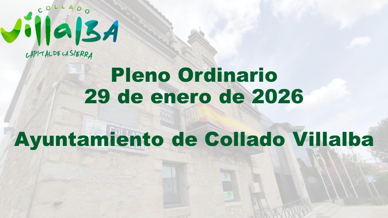 Pleno Ordinario 29/01/2026