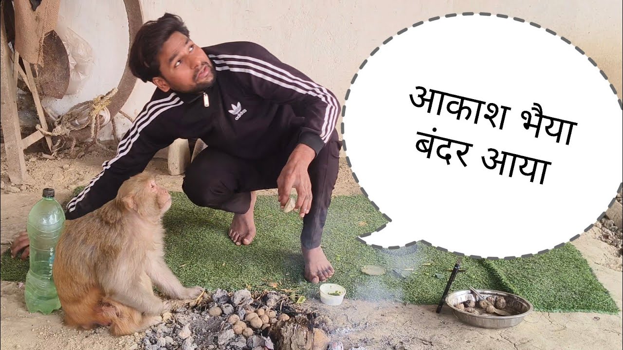 मंकी रानी बंदर से बहुत डरती है 😳।। @Queenrbl12345 
