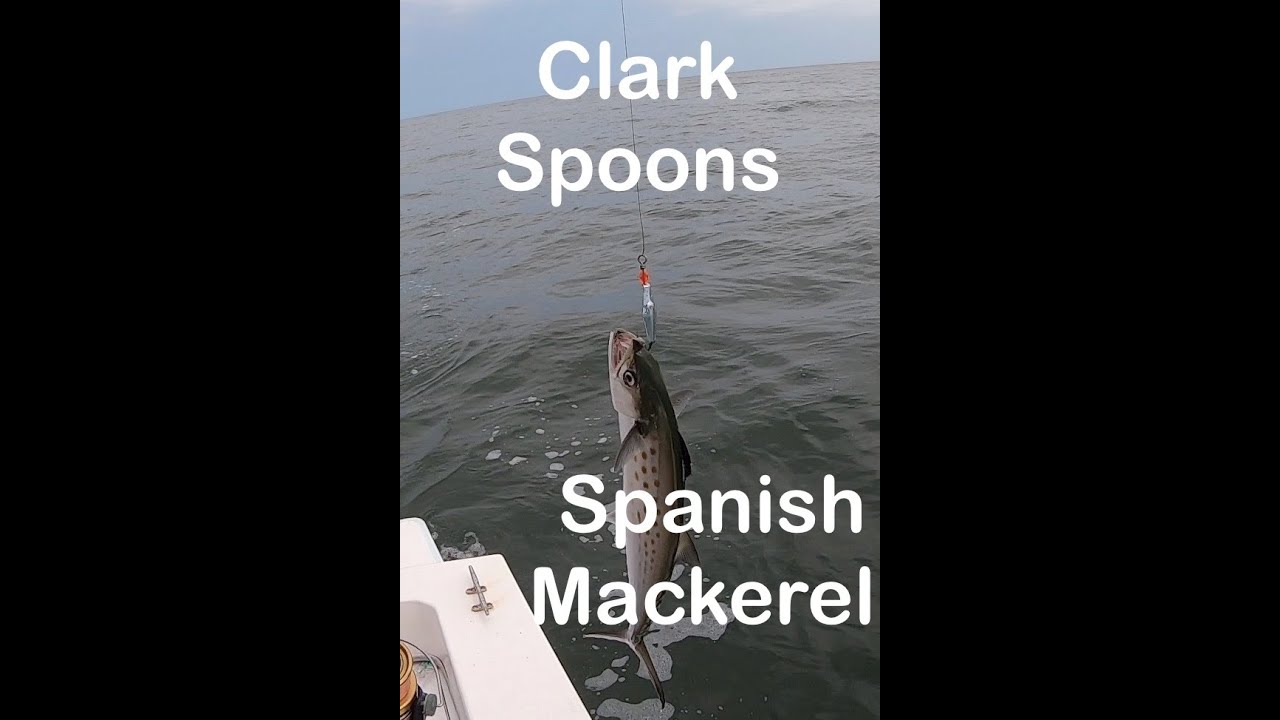 Clark Spoons for Spanish Mackerel