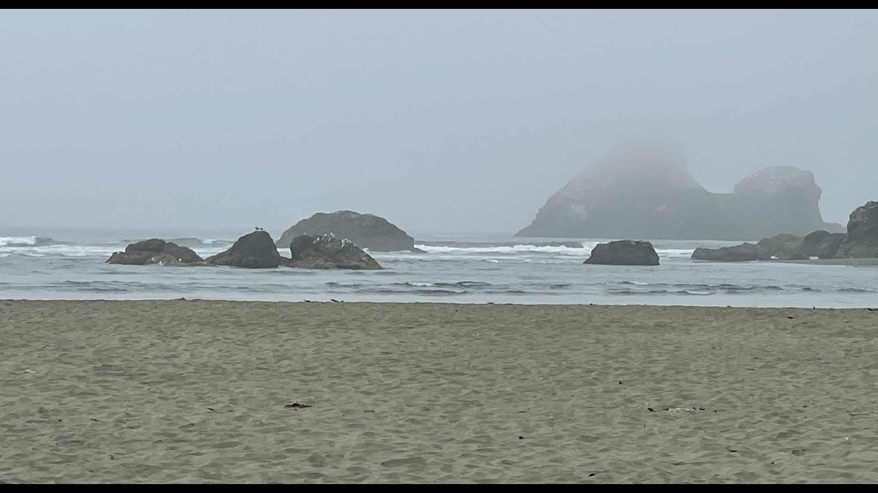 Incredibly beautiful Moonstone Beach on a foggy day in Northern California