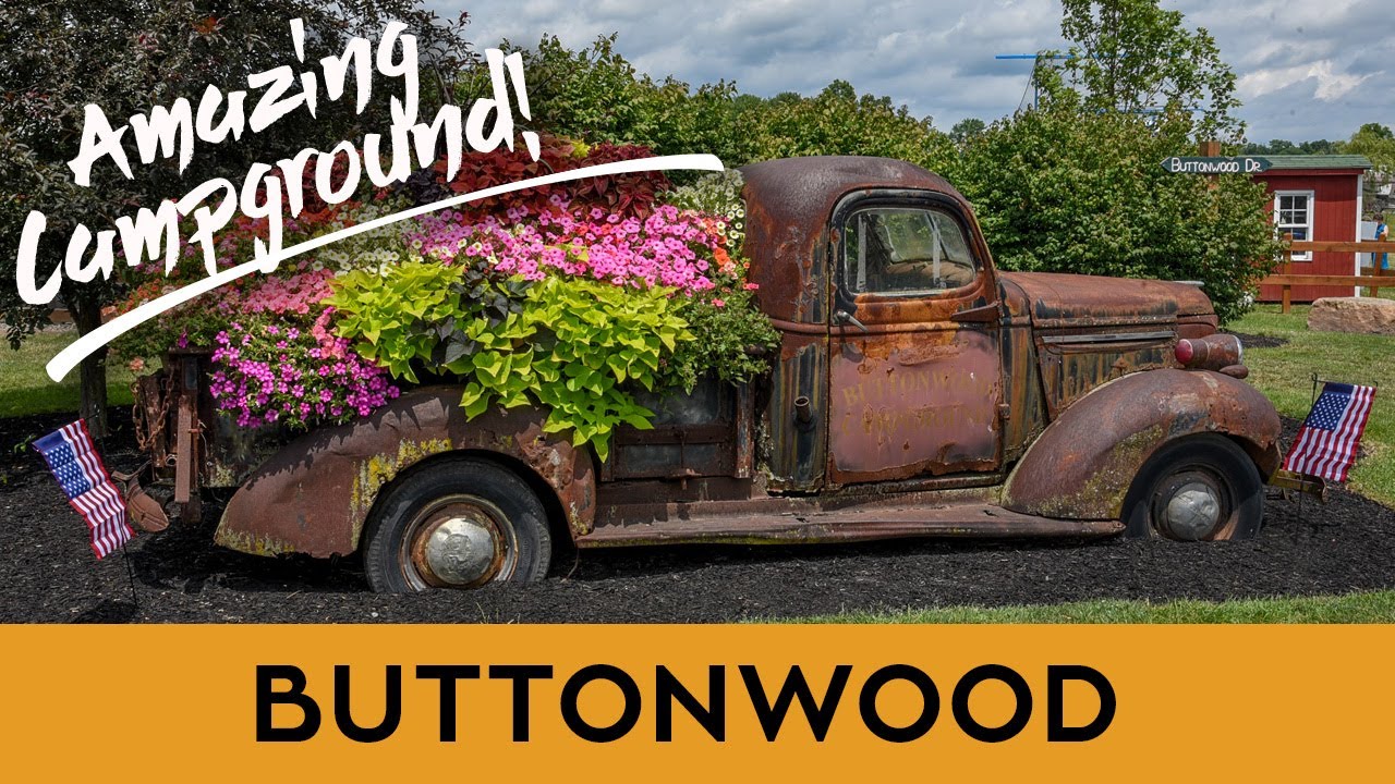 BUTTONWOOD CAMPGROUND  // INTERVIEW