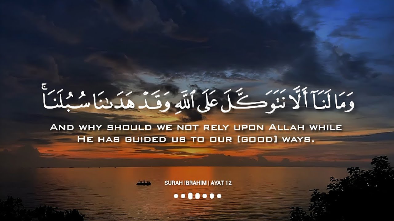 نصف ساعة ⏱️🎧 | تلاوة هادئة ومؤثرة بصوت القارئ إسلام صبحي 😴🤍 | islam sobhi - Calming Recitation 