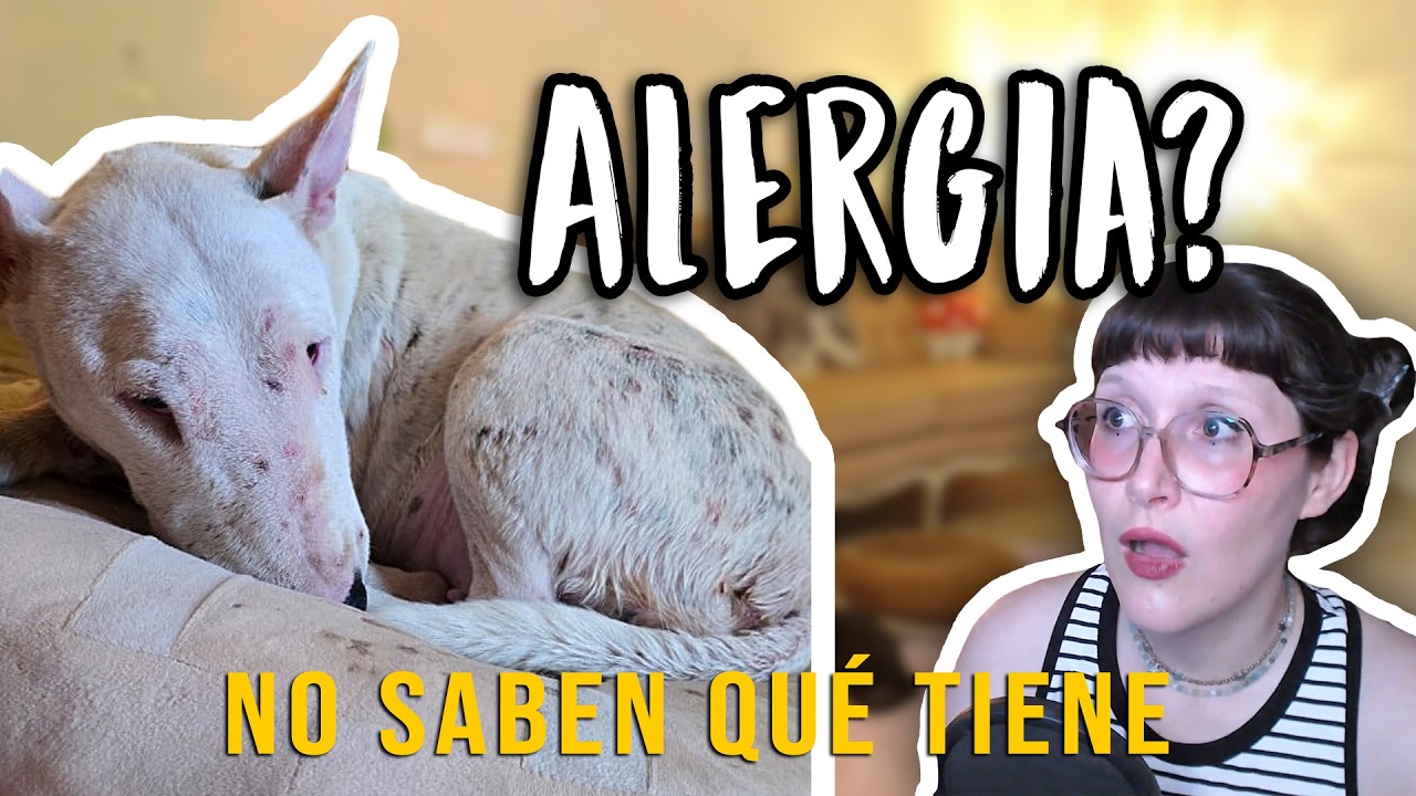 Todo lo que pasó con la salud de Luz de Luna 🐾