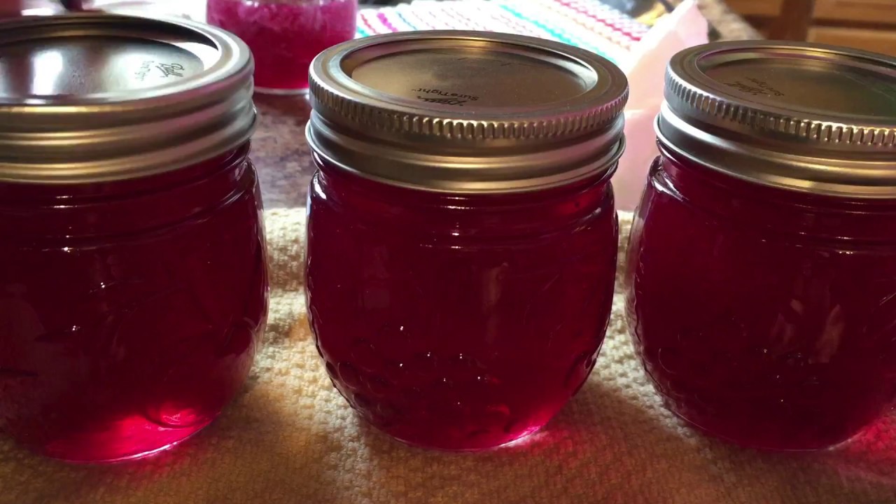 Wild Violet Jelly-----so yummy
