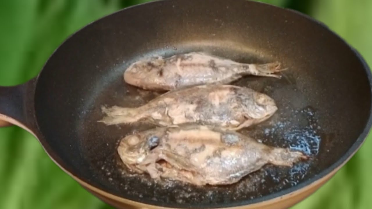 Sup jagung telur tumis tahu goreng ikan & sayur brokoli,menu hari ini