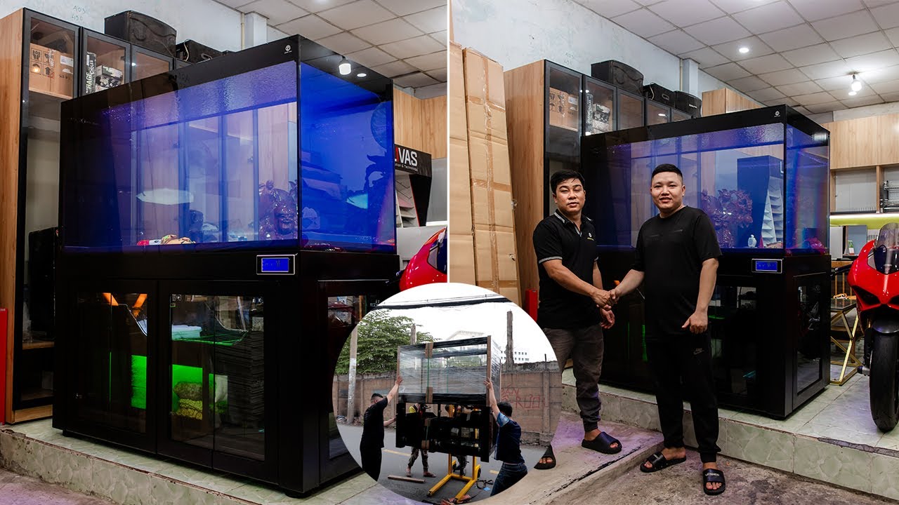 Lắp đặt & Thi công HỒ CÁ CÔNG NGHỆ VIEW 2 MẶT DÀI ỐP GỖ XOÀI - TÁCH PHÂN GIÀN MƯA tại Thủ Đức