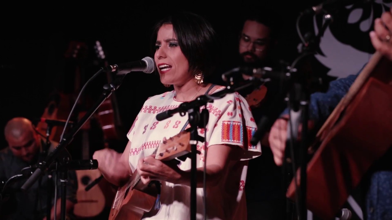 Los Cenzontles & Shira Kammen - El Guapo