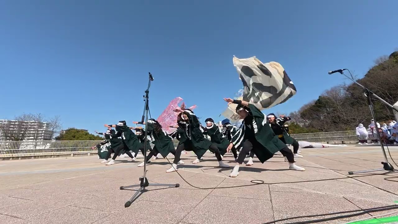 26 ソーラン隊「宝」 堺よさこいかえる祭り2026［４Ｋ］wide2