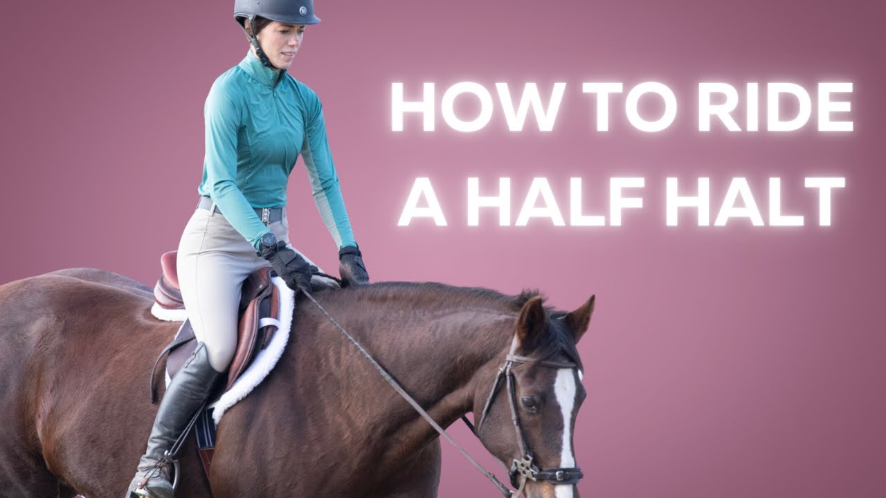 How to Ride a Half Halt