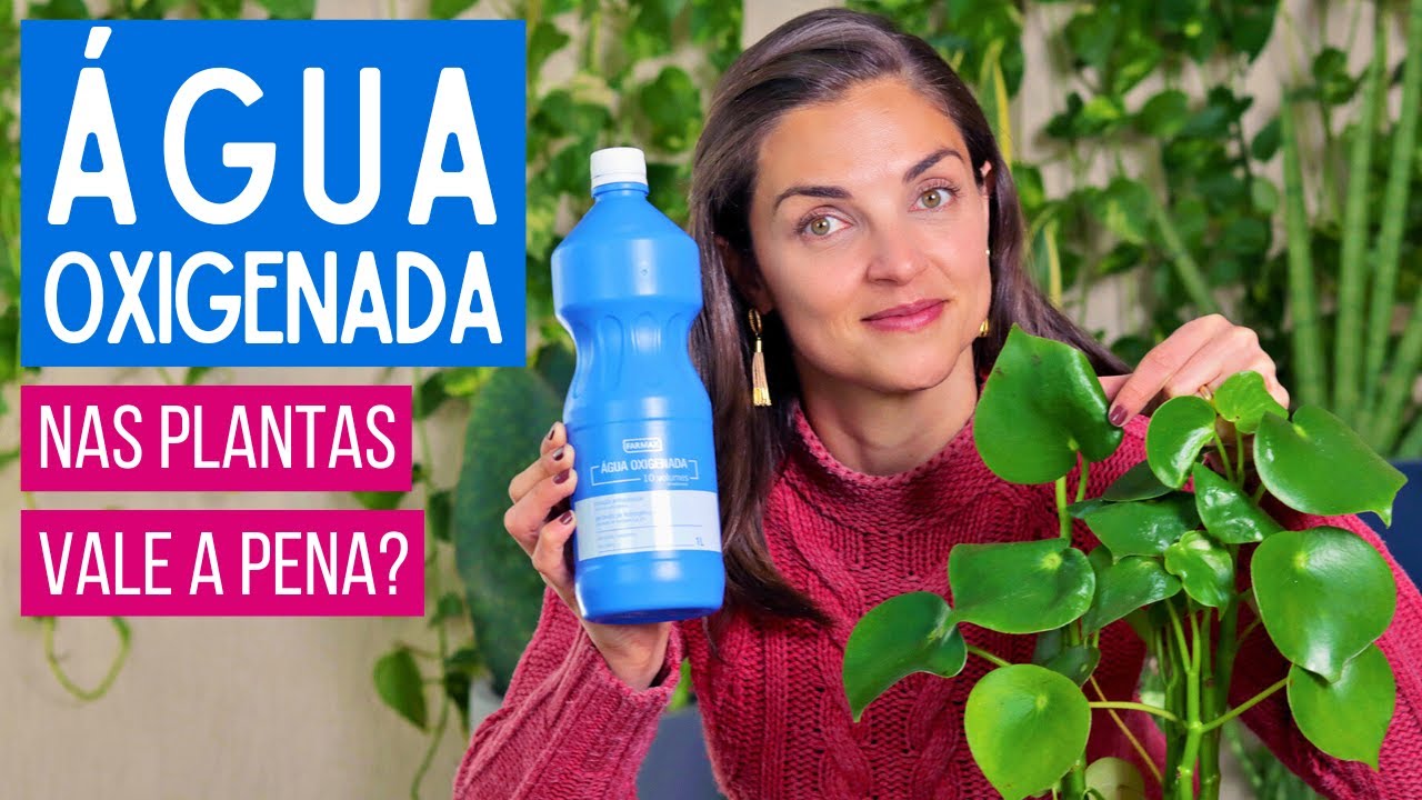 APRENDA a usar ÁGUA OXIGENADA e tenha PLANTAS LINDAS e SAUDÁVEIS