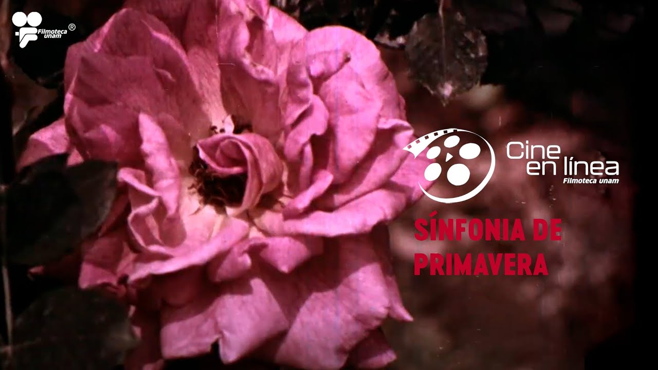 Sinfonía de primavera (1956) - Cine en línea - Filmoteca UNAM