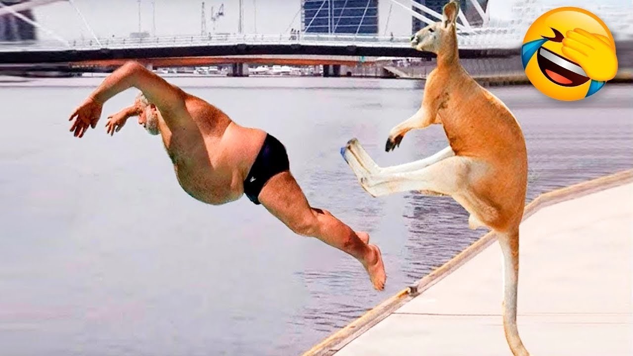 😺 Funny & Cute Animal Videos Compilaton Of The 2025 🤣