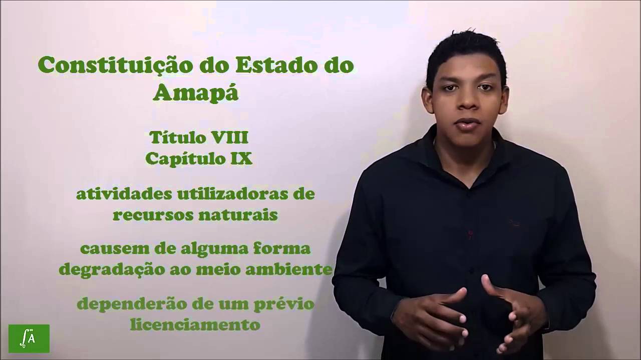 Constituição Estadual do Amapá - título VIII, capítulo IX