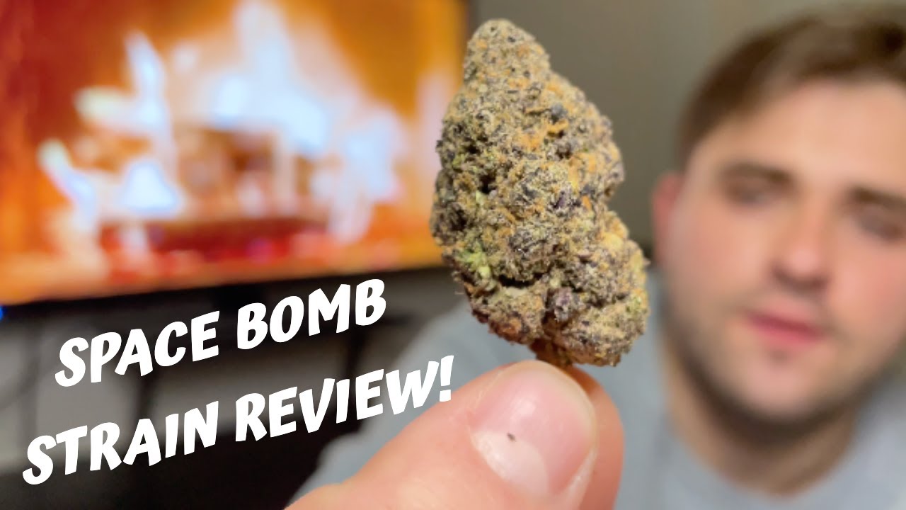 SPACE BOMB Strain Review
