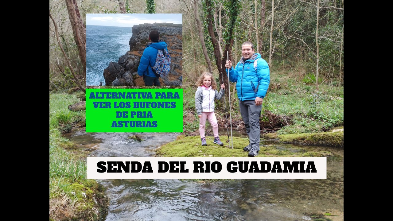 BUFONES DE PRIA (ASTURIAS). Una ruta alternativa: La senda del Rio Guadamia