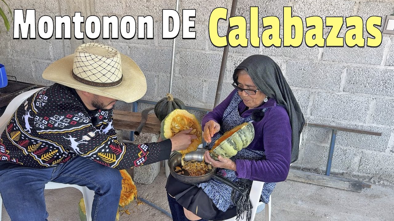 El Cultivo de la Calabaza: Del Trabajo en el Campo a la Semilla.