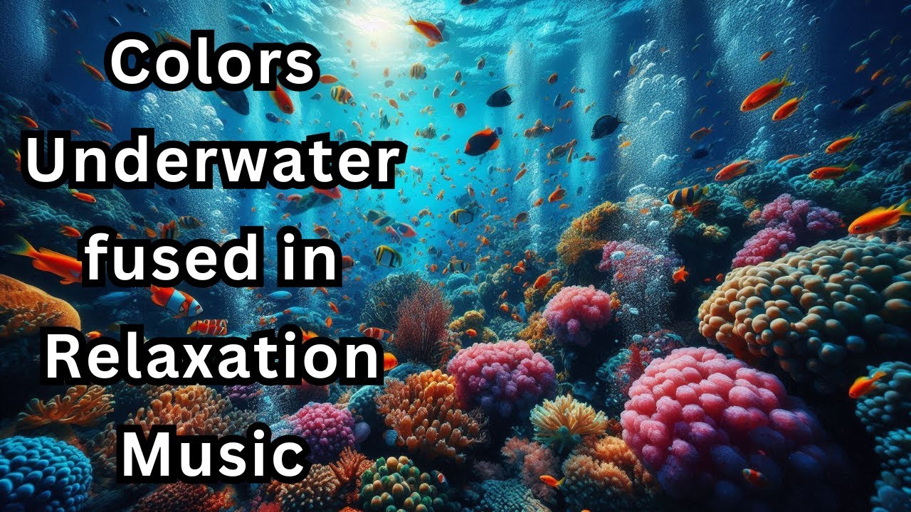Vibrant Coral Reefs: A Glimpse into the Hidden Underwater Paradise - Live 4K