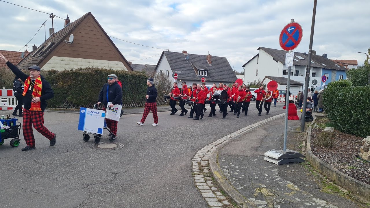 Défilé du Carnaval 2025 - Heidstock (ALL)
