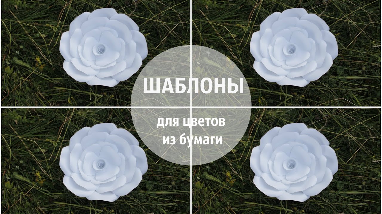 Шаблоны для больших цветов из бумаги I SILK. Dekor. Foto