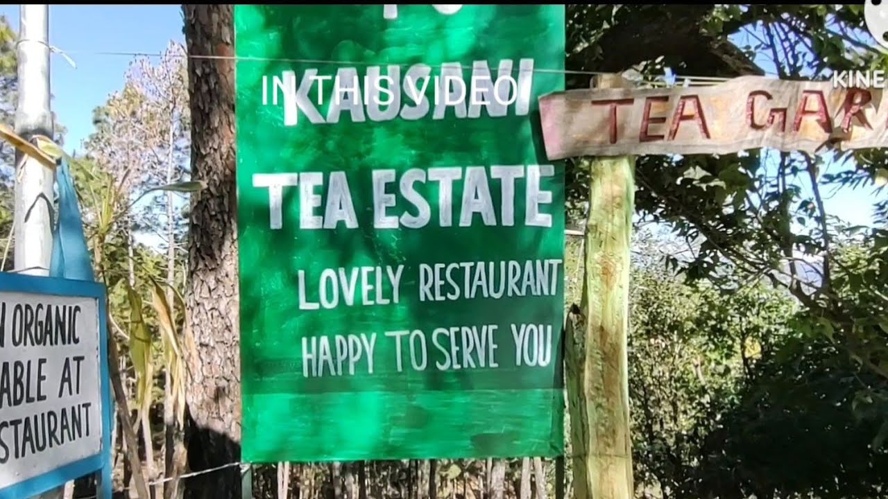 कौसानी की खुशबू उसके चाय बागान ।