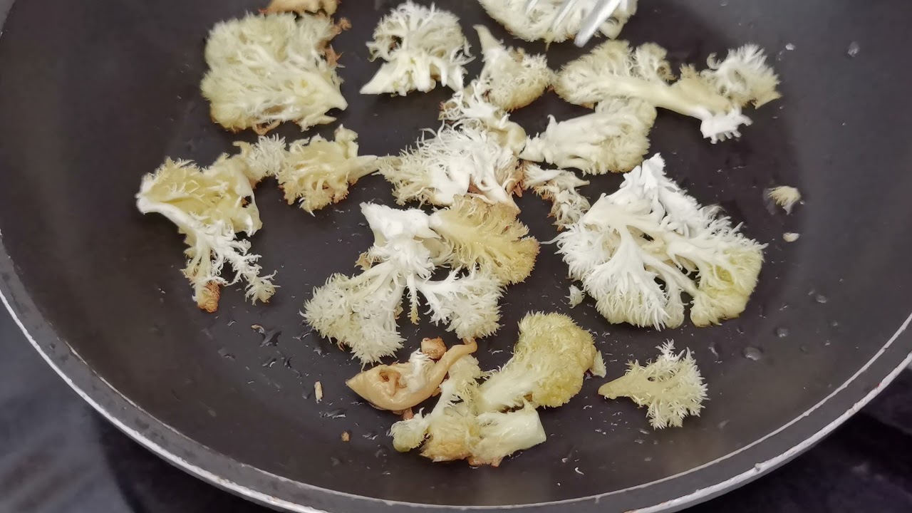 Cocinando la exquisita y medicinal melena de le&oacute;n (cultivada por nosotros).