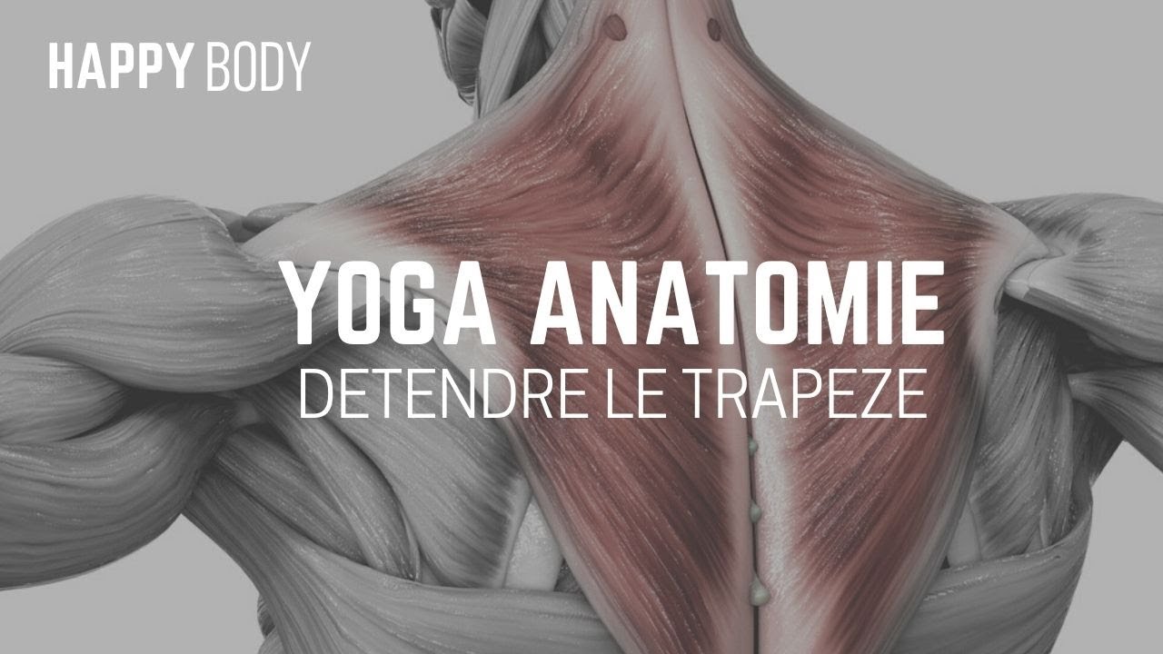 Yoga Anatomie : Détendre le trapèze