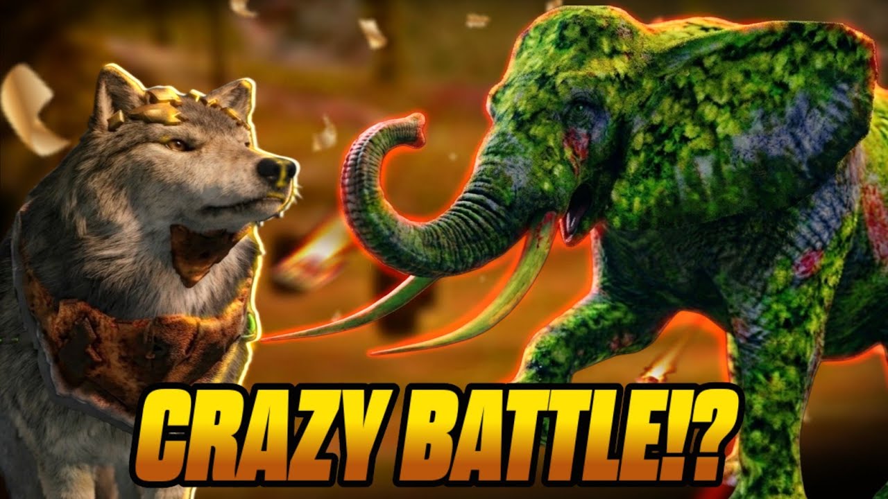 Big Champion is ready for battle.