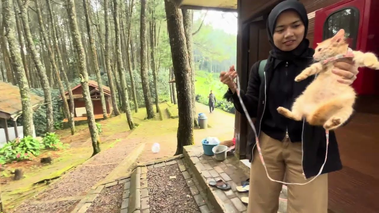 Puncak Bintang - Bukit Moko