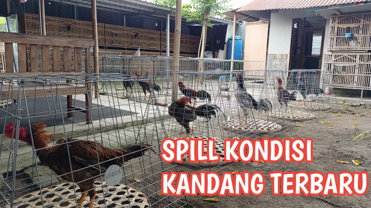 MINGGU 14 SEPTEMBER 2025