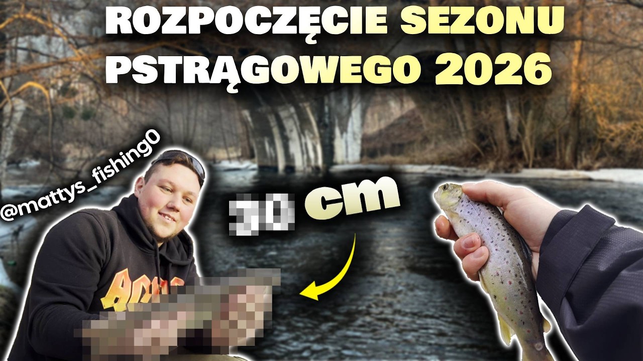 CZY TO BYŁY OSTATNIE PSTRĄGI? KORMORANY ZROBIŁY SWOJE...