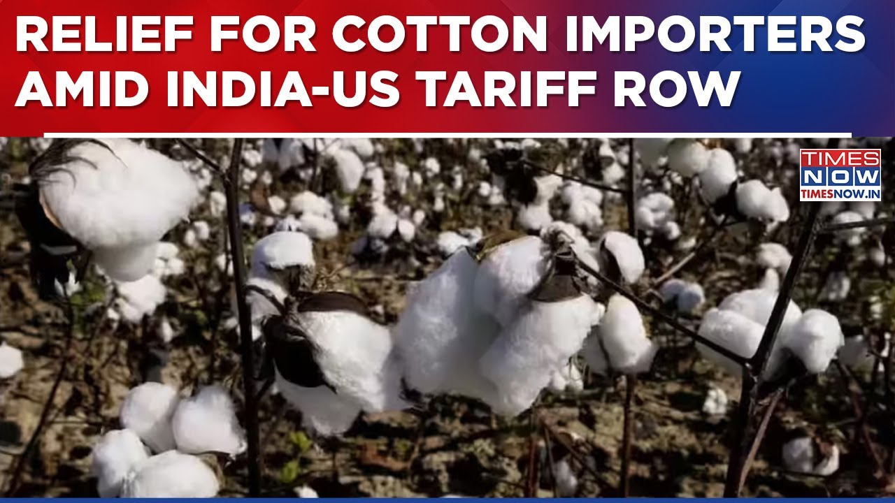 Relief For Cotton Importers In India, Import Duty Exemption Extended Amid Tariff Imposition By U.S