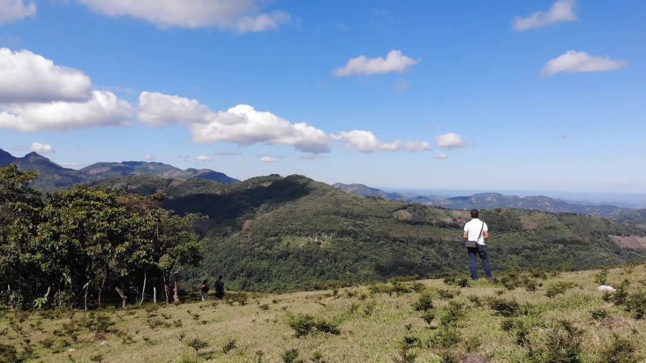 Ozelonacaxtla Sierra Norte