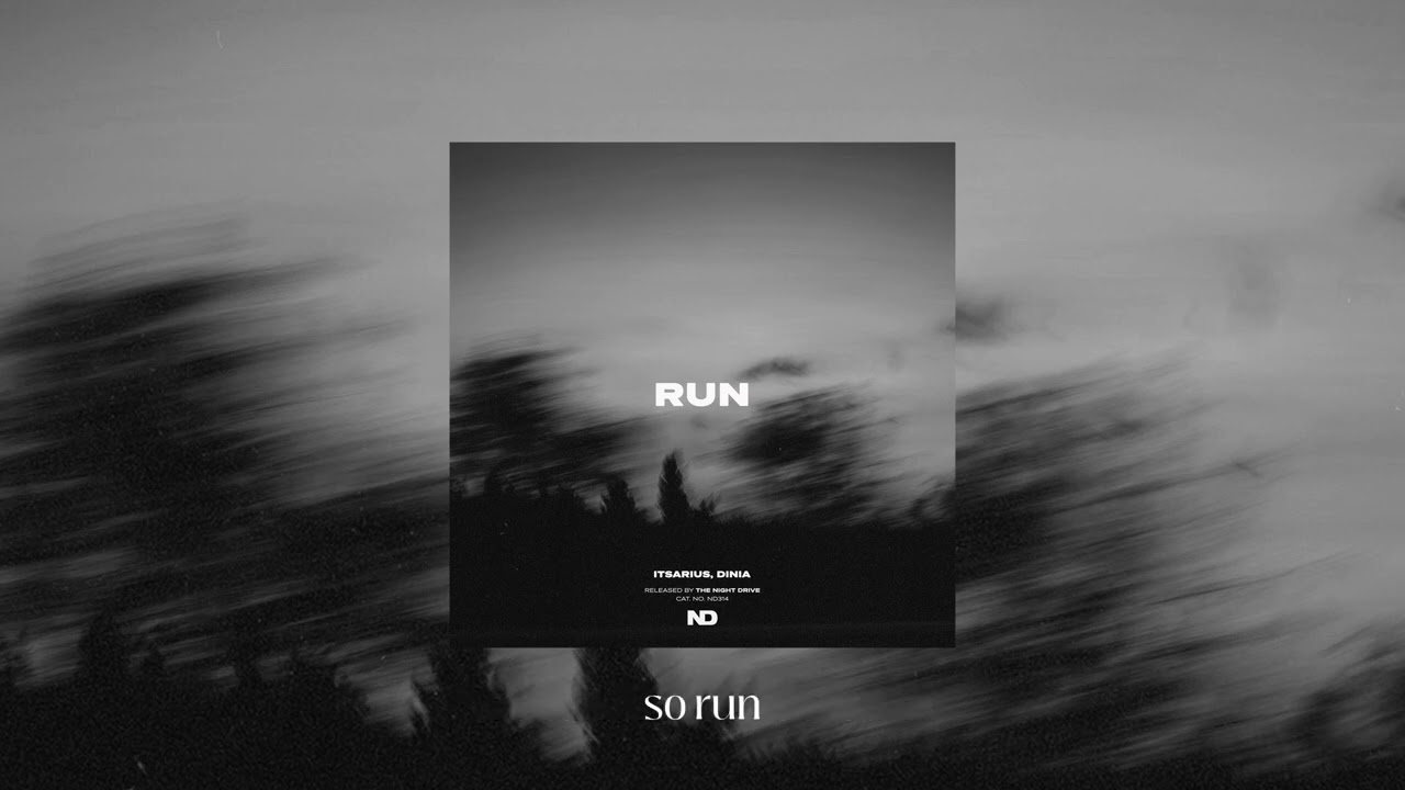 ItsArius & Dinia - Run