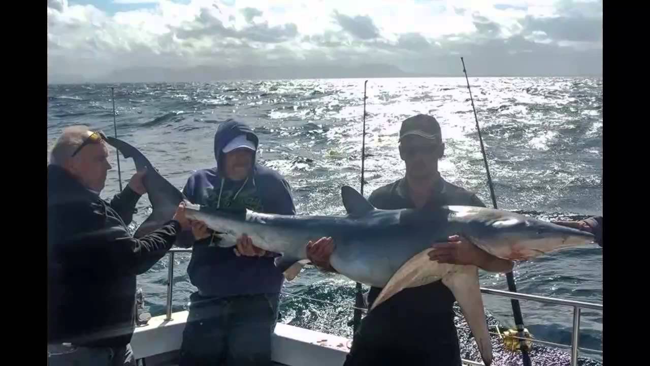 Kiwi Girl Sport Fishing Chartes