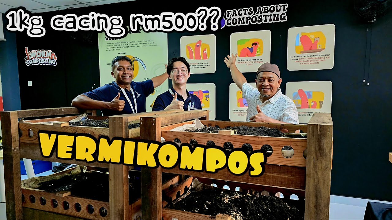 ✅️ TERNAK CACING DALAM BANGUNAN. SETIAP RUMAH KENA ADA VERMIKOMPOS