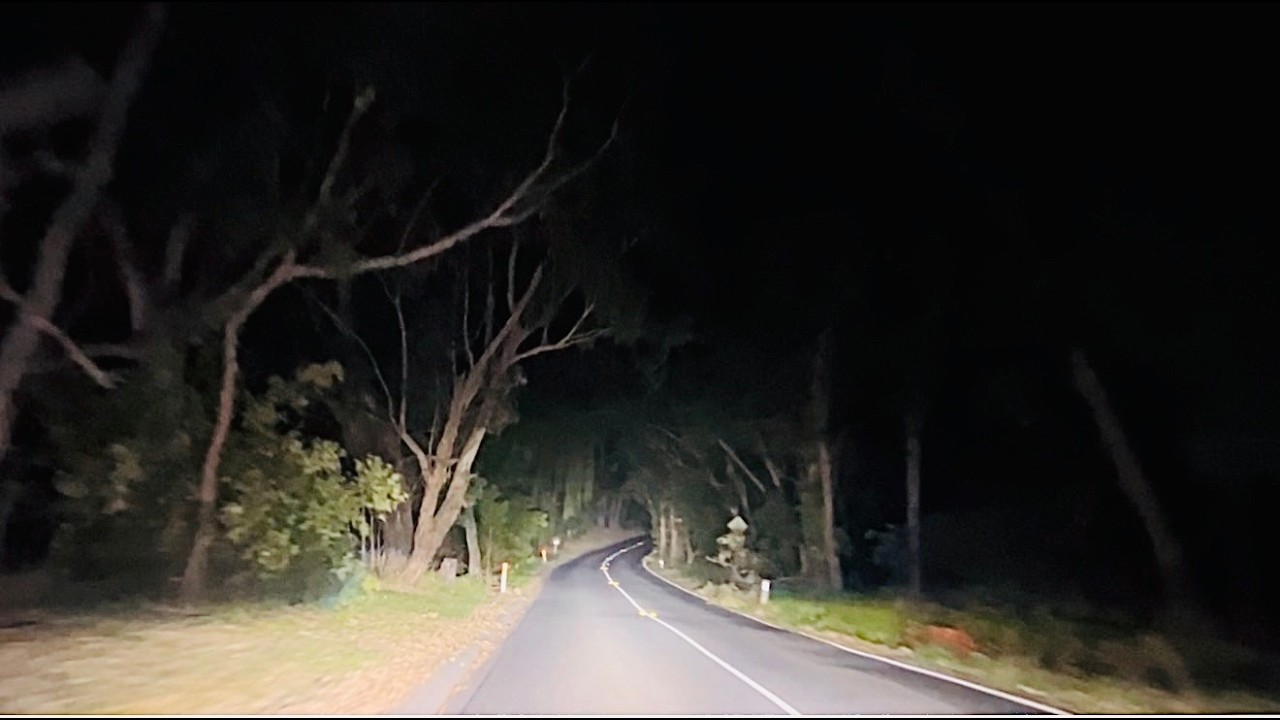 #Australia #Night Fundrive Through Australian forest 🌳 Zone #fundrive #drivingtour #travel