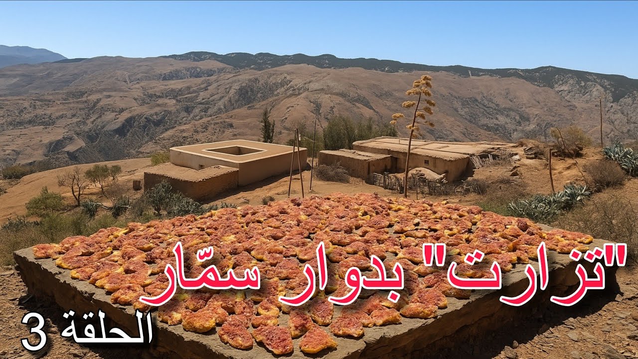 موسم تجفيف التين بدوار سمّار آيث عوص 