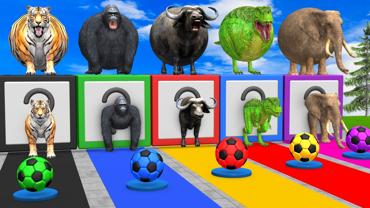 Long Slide Game With Cow Elephant Gorilla Hippopotamus Tiger - 3d Animal Game - Funny 3d Animals