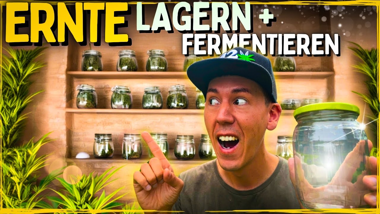 Die Ernte ist da 😱 Lagern und richtig Fermentieren für Anfänger!