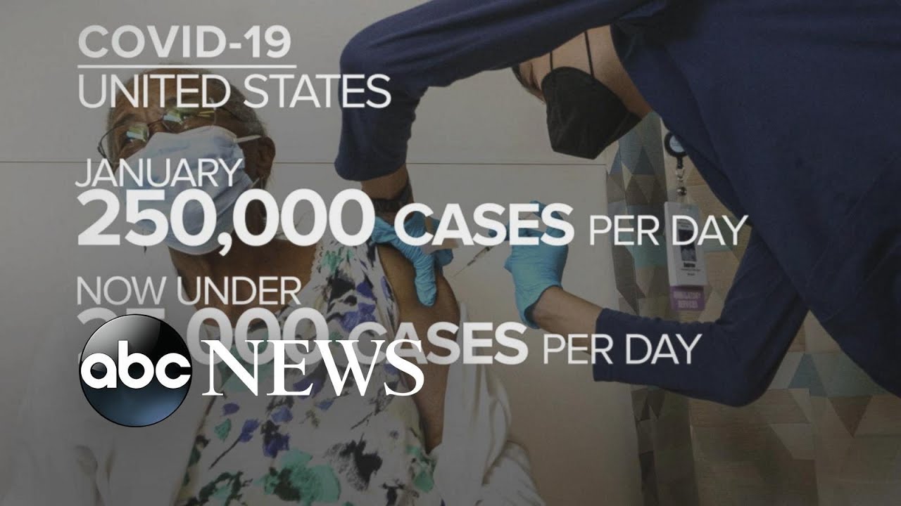 New COVID-19 cases below 25,000 a day