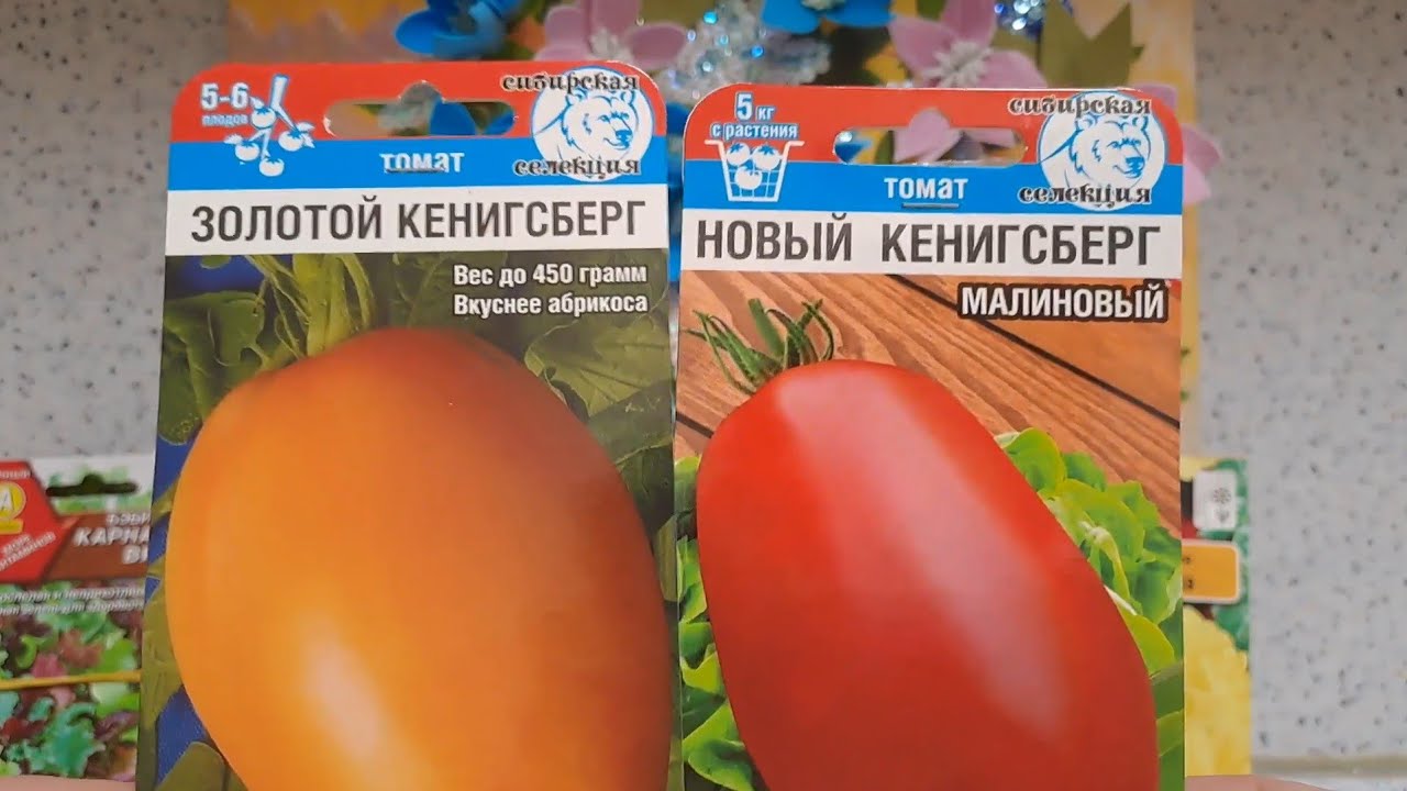 СНИМАЮ ШЛЯПУ ПЕРЕД ЭТИМ ТОМАТОМ 🍅🍅🍅 СЕЗОН 