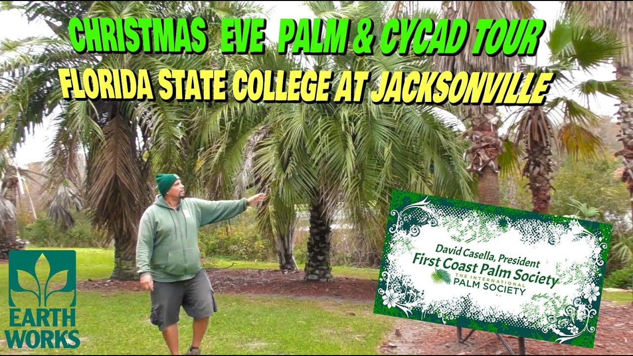 FSCJ  Palm Showcase with David Casella