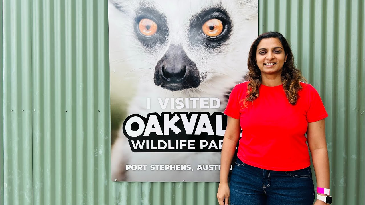 Oakvale Wildlife Park | feeding animals | koala sanctuary