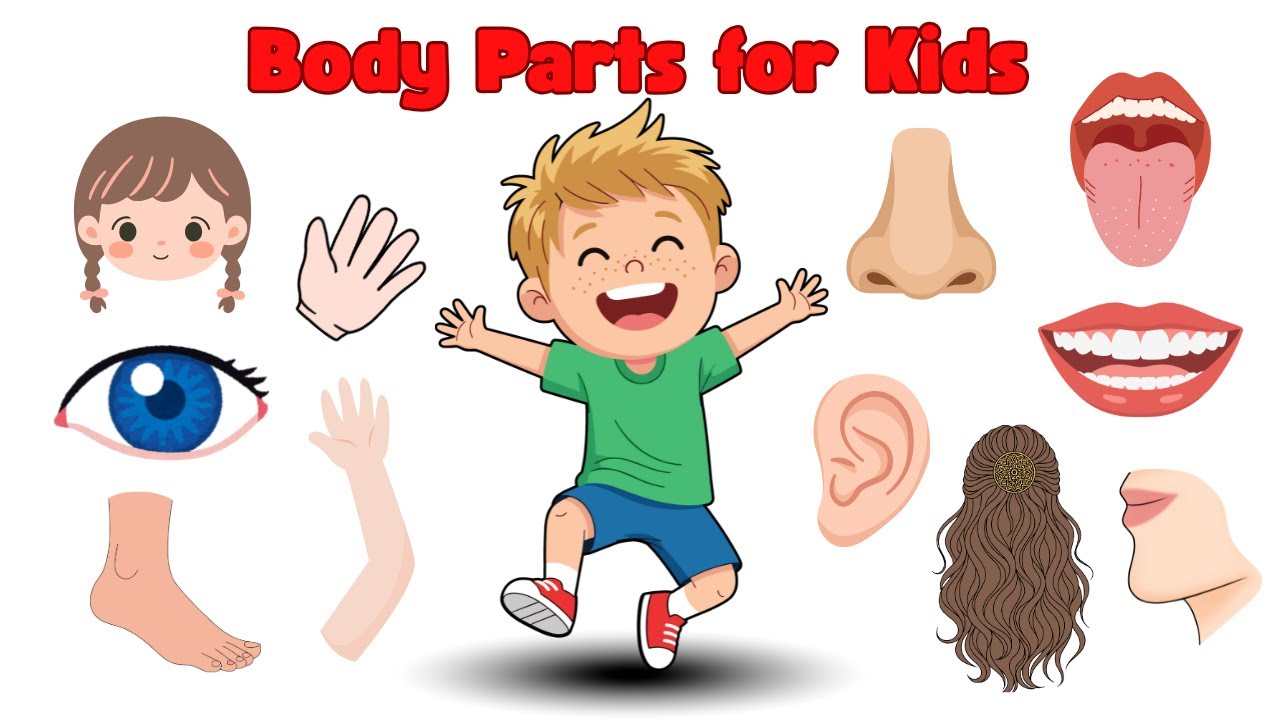 Parts of Body Names | Body Parts for Kids | Learning Videos for Toddlers | First Words | Vocabulary